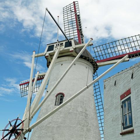 Molen “ ’t Hert”