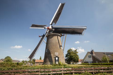molen Oosterland